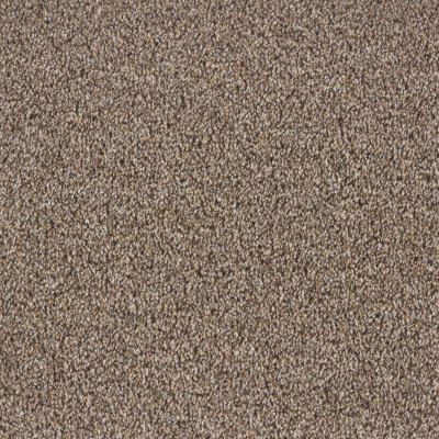 Ковролин Ideal Dublin Twist 314