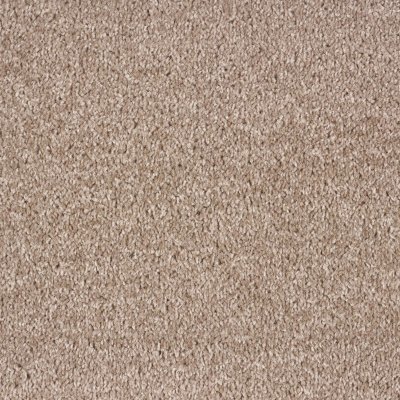 Ковролин Ideal Dublin Twist 303