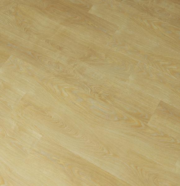 Дуб Сицилия