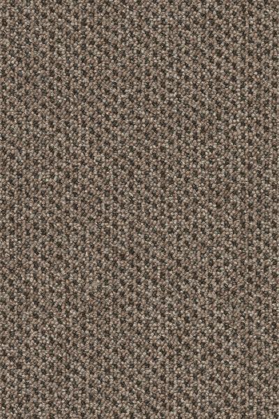 Ковролин AW Medea 37 (4 м.)