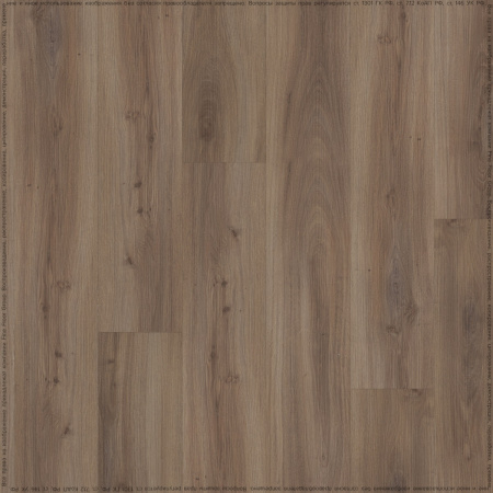 FF-1460 Дуб Вестерос