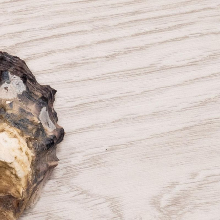 Кварц-виниловая плитка FineFloor Light Дуб Богемия FF-1376 5 фото