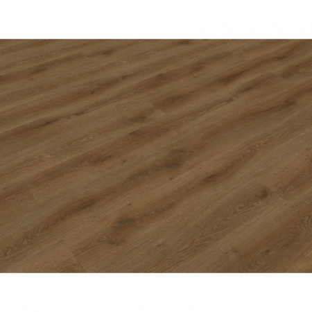 FF-1255 Дуб Октопус