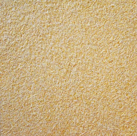 Ковролин Нева-Тафт Галеон 514 ширина 3м 1