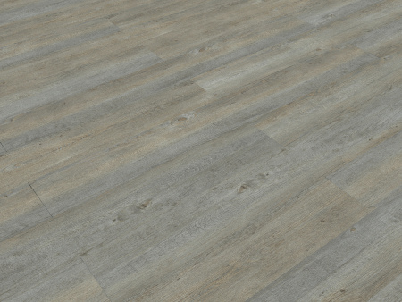 FF-1257 Дуб Адастра 1 фото